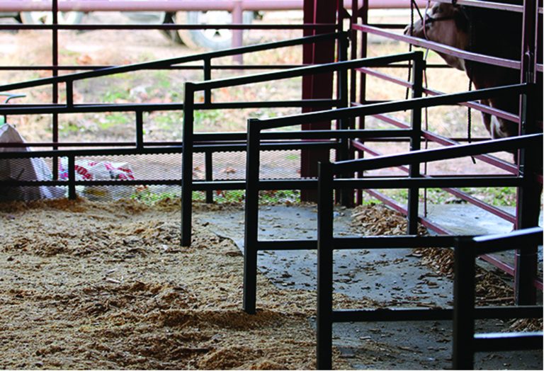 Shorty stall divider - image 2