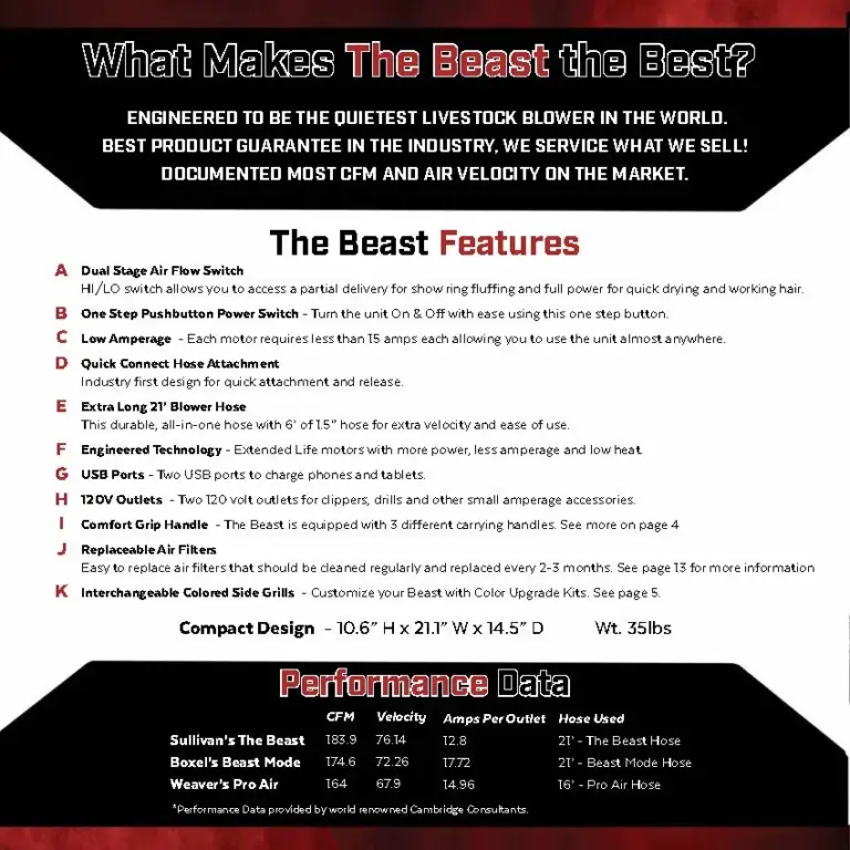 The beast blower - image 7