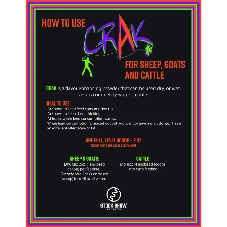 Crak - day pack - image 3