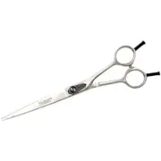 INFR SCISSORS 2023.webp