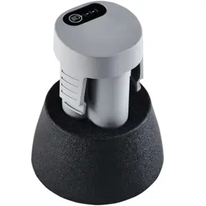 LECCB LISTER ECLIPSE BATTERY 2023.webp