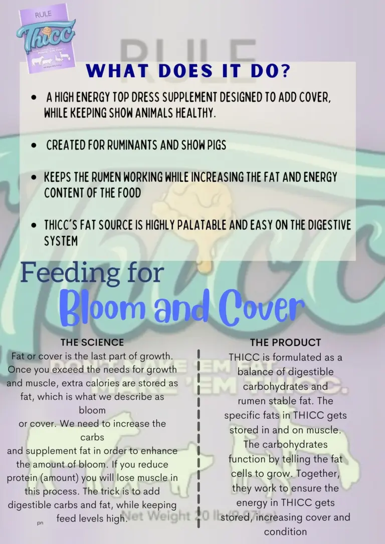 THICC 25lb by RULE - Image 4