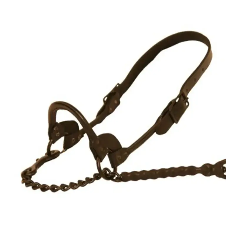 1st-class show halter - image 2