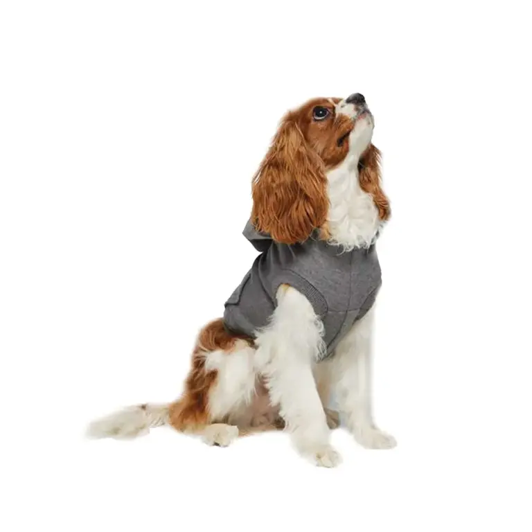 Sullivan's doggie 3-end fleece hoodie - image 2