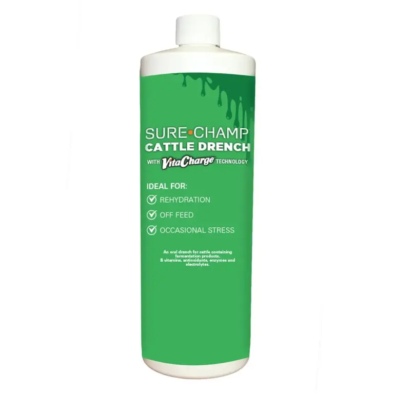 Sure champ cattle drench