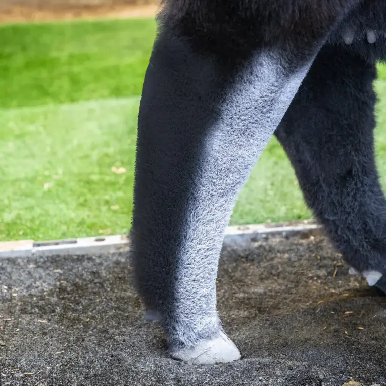 POWDER'FUL - Image 4