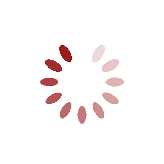 Spinner@1x 1. 0s 324px