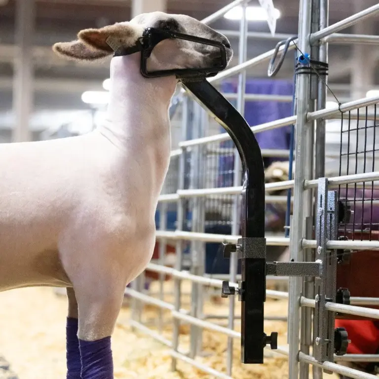 Deluxe Panel Mount - Image 5